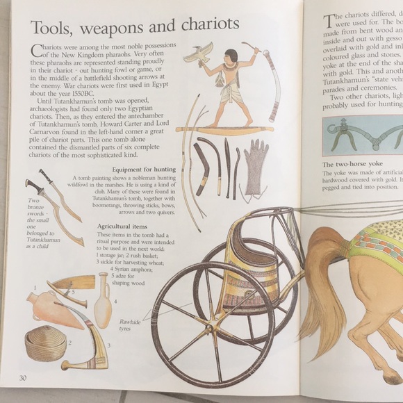 In Search of Tutankhamun: The Discovery of a King's Tomb - Picture 7 of 12